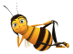 Afbeelding voor  Bee Movie Game