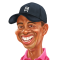 Afbeelding voor  Tiger Woods PGA Tour 09 All-Play