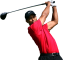 Afbeelding voor  Tiger Woods PGA Tour 10