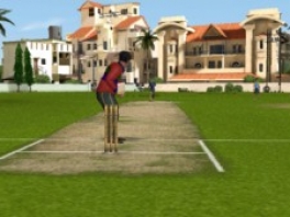 Speel cricket in 3D!