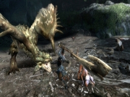 Je hebt verschillende wapens in monsterhunter 3: zwaarden, bijlen bogen en zelfs rocket launchers!